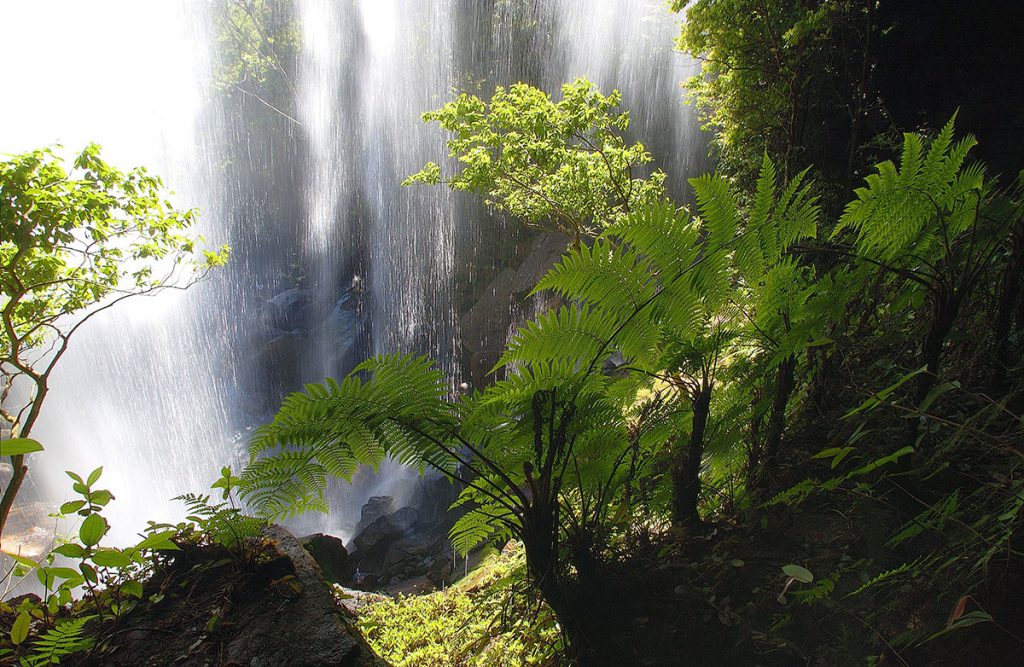 Cachoeira de São Francisco